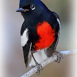 фото