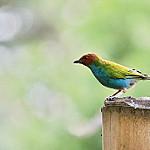 фото