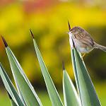 фото