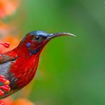 фото