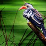 фото