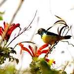 фото