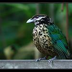 фото