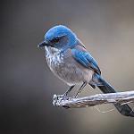 фото