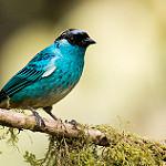 фото