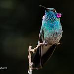 фото
