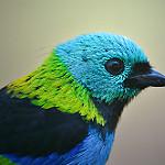 фото