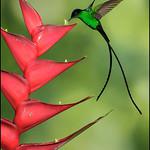 фото