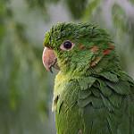 фото