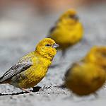 фото