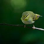 фото