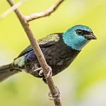 фото