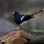 фото
