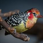 фото