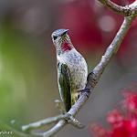 фото