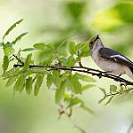 фото