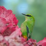 фото