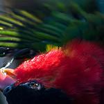фото
