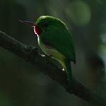 фото