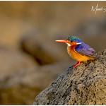 фото