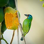 фото