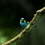 фото
