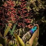 фото