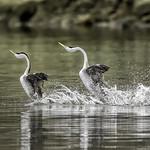 фото
