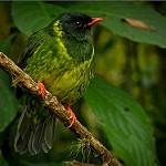 фото