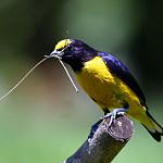 фото