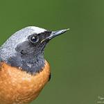 фото
