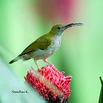 фото