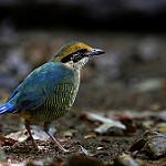 фото