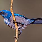 фото