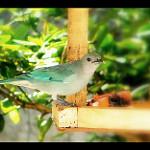 фото