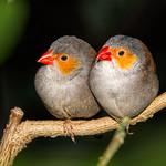 фото