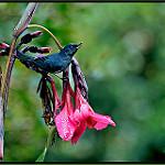 фото