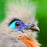 фото
