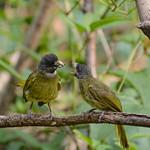 фото