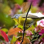 фото