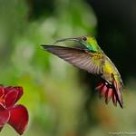 фото