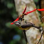 фото