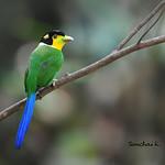 фото