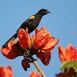 фото