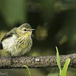 фото