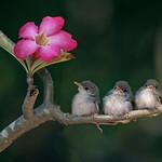 фото