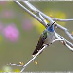 фото