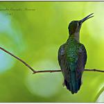фото
