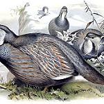 Uy qurilishi jinsiy aloqa yashirin kamera