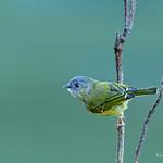 фото